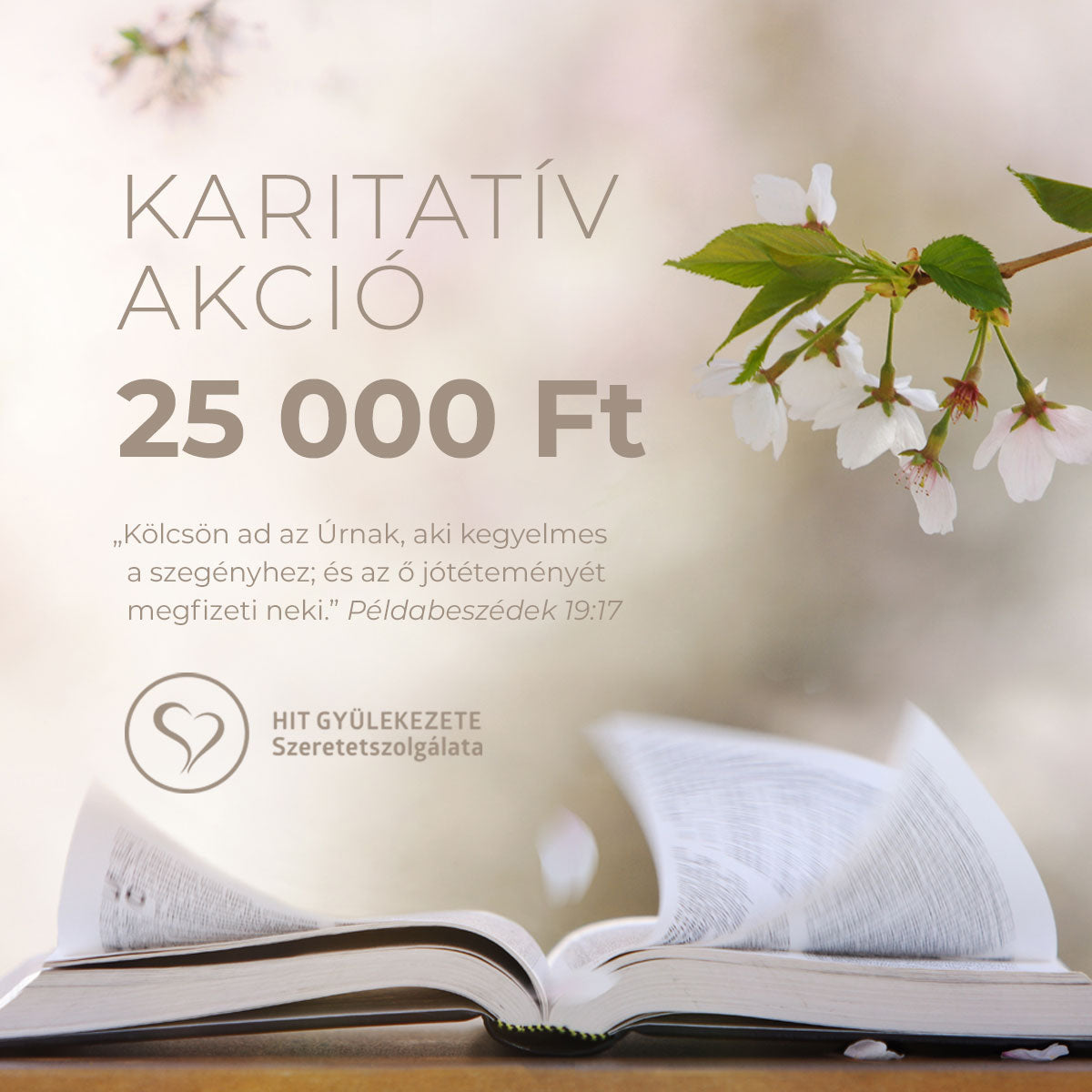 25 000 Ft-os támogatást küldök