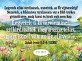 Mezei virágos hűtőmágnes