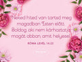 Rózsaszín virágos hűtőmágnes